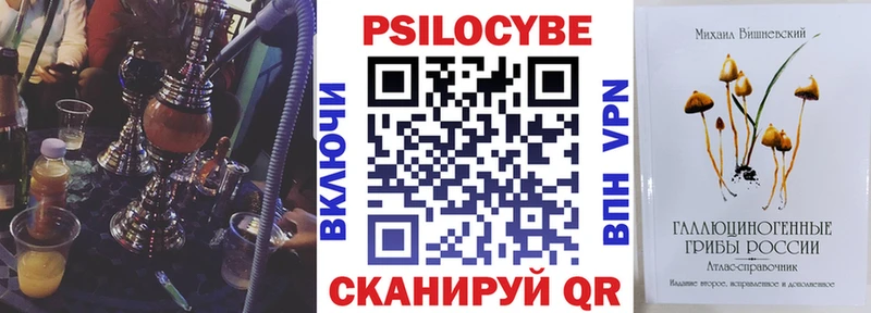 Галлюциногенные грибы Cubensis  магазин продажи наркотиков  Гусев 